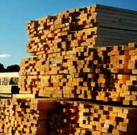 Sawn Lumber Stacked to Dry