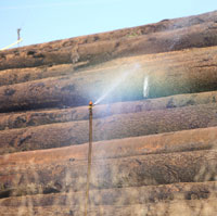 Log Pile with Sprinklers On