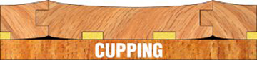 what does cupping on a wood floor look like