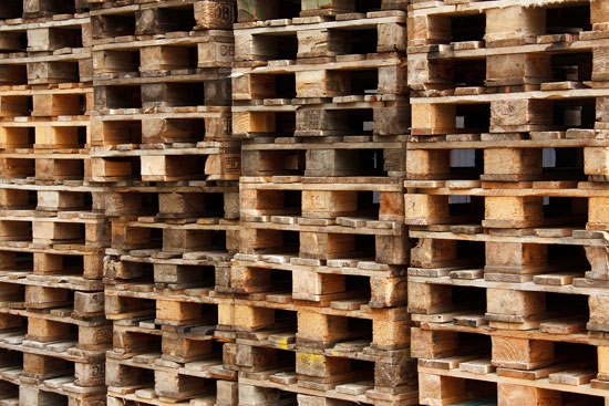 moisture-related damage in wood pallets